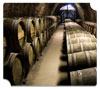Wine caves improve site utilization for vineyards