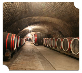 Wine barrels stored in a wine cave